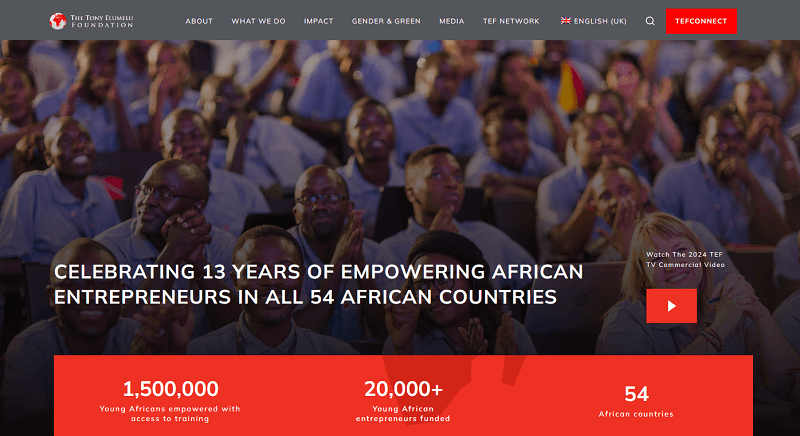 Tony Elumelu Foundation